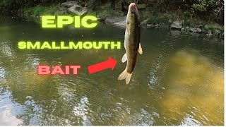 How to catch smallmouth bass with LIVE BAIT (creek fishing)