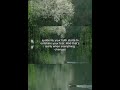 oh this!!!🤧#astra #celeste #quotes #aesthetic #nature