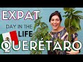 Living in mexico as an expat  a day in the life