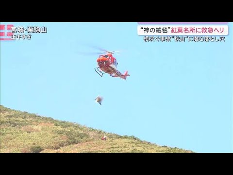 秋の行楽地に“3つの難題” 紅葉名所「神の絨毯」に救急ヘリ 緊迫の一部始終【サタデーステーション】(2026年10月10日)