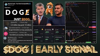 Dog The Most Iconic Meme Asset Of 2026