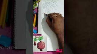 Drawing Pomegranate fruit | trending trendingshorts artist viral art @sanjibdas_arts9314