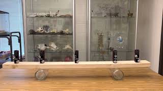 Spontaneous Synchronization of Oscillations in RamZland!😎