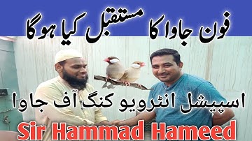 Java Sparrow ka Mustakbil kya hoga ll How To Future Java Sparrow ll V No 89 Sur Birds Channel