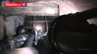 ЧП-САРАТОВ. СПАСАТЕЛИ СПАСЛИ ЗАСТРЯВШУЮ В РЕШЕТКЕ СОБАКУ ЧП-САРАТОВ. СПАСАТЕЛИ СПАСЛИ ЗАСТРЯВШУЮ В РЕШЕТКЕ СОБАКУ