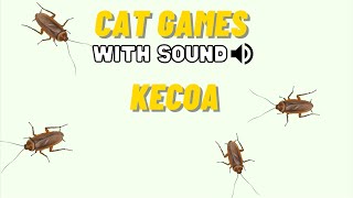 CAT GAMES - KECOA MAINAN KUCING (CATCHING COCKROACH), FULL 30 MENIT screenshot 5