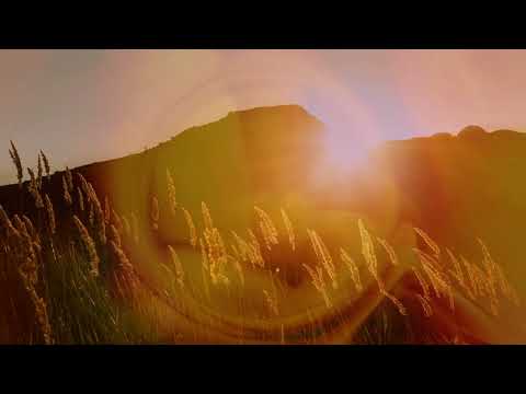 Marmalade Sunrise (Feat Meryl Joan Lammers) - (Official Music Video)
