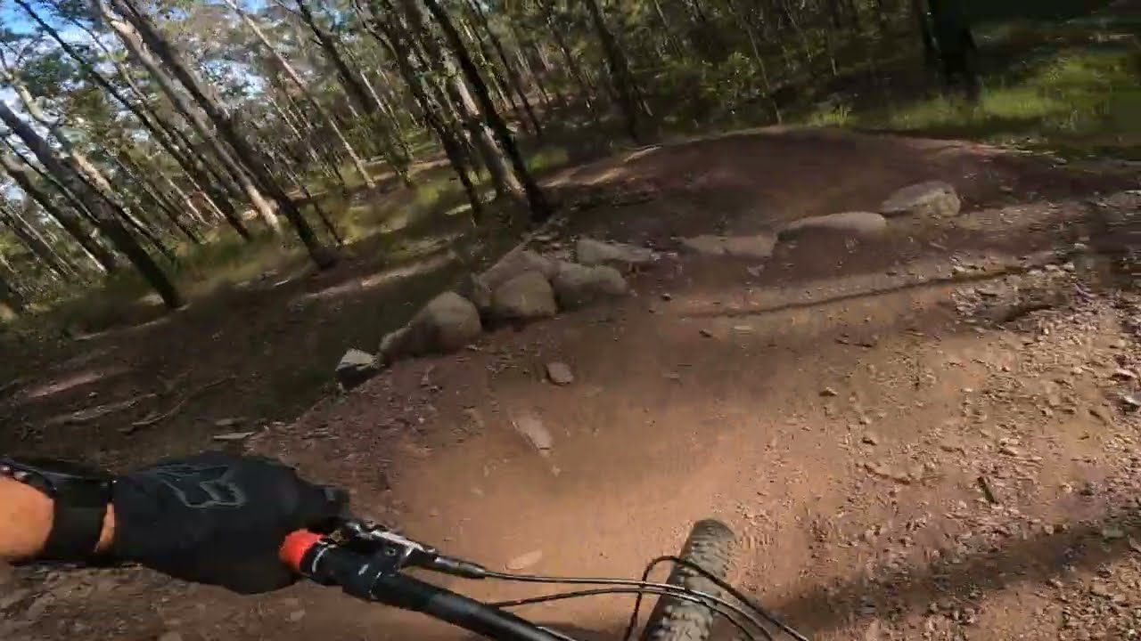 Jinker Track Bunya MTB - Track 2 Jurassic downhill