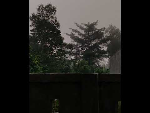 Dimash Kudaibergen - Daididau/Дайдидау (Rimar