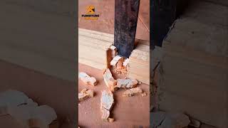 Smooth &amp; Satisfying 🤩 Wood cutting ASMR 🔥🪵#woodworking #wood #woodwork #asmr #shorts #trending #diy