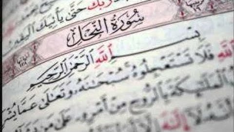 سورة النحل - ماهر المعيقلي