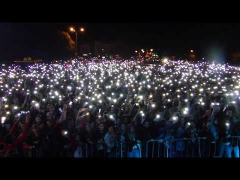 Шоу (Мотор'Ролла - 8-й колір)