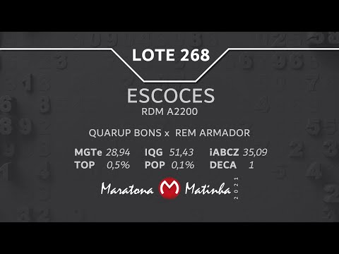 LOTE 268 Maratona Matinha