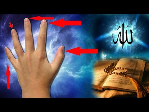 MASYA ALLAH !!! Inilah "RAHASIA" Di Balik "Jari" Tangan Kita - Berita