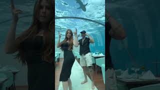 O restaurante com tubarões 🦈😱 #alexmapeli #shorts