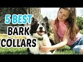 Best Bark Collars 2018 - Bark Collar Reviews Best Bark Collars 2018 - Bark Collar Reviews