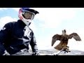 Peregrine falcon hunts downhill rider (with Red Bull channel) | Earth Unplugged