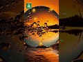 Crystal Clarity Meditation 🔮 Golden Dew &amp; Inner Focus | 59 Sec