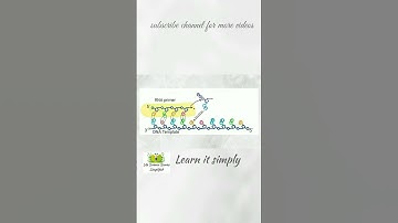 DNA Replication in Prokaryotes | Elongation  part 7| csir net life science | simplified in Malayalam