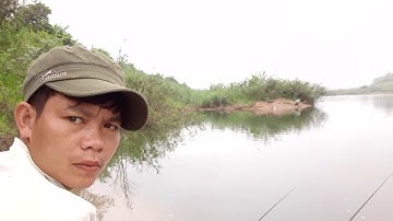 Cách câu cá tép, cá thiểu cực đơn giản và hiệu quả