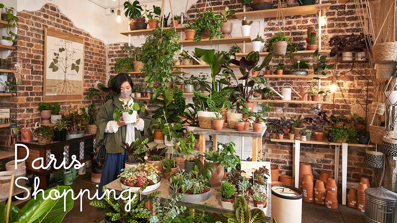 Купить кухонную утварь в BIO Paris / Первая годовщина нашего YouTube-канала!