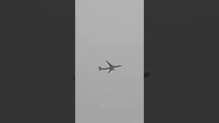 RP-C8766 A330-300