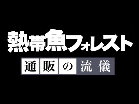 熱帯魚通販フォレスト 通販の流儀 通販で生体を買うという事 Youtube