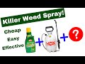Kill Weeds, Not Your Lawn! Cheap, Easy And Effective Mix With A Magic Ingredient!