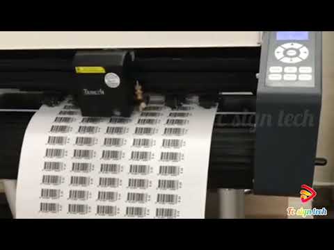 Teneth auto feeding