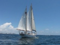 Cheoy lee 42 clipper muninn