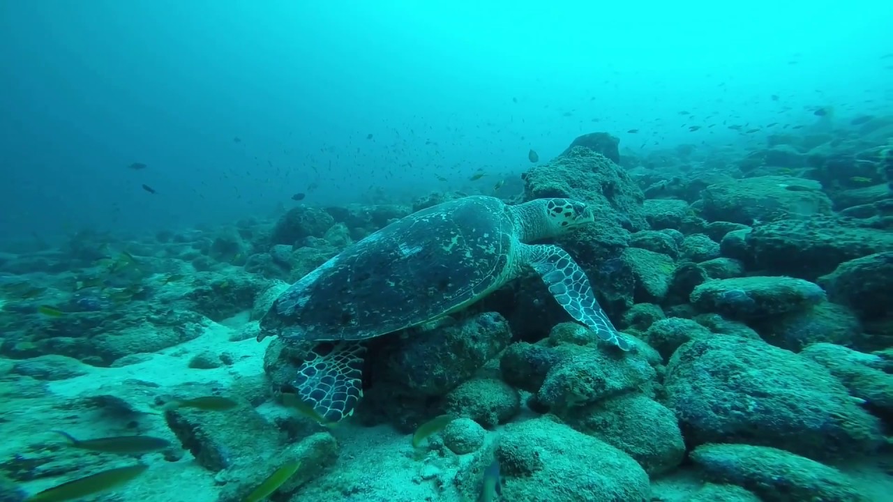 PULOWEH (Weh Island)