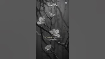 #قرآن_كريم #سورة_آل_عمران #أحمد_النفيس #قرآن #quran