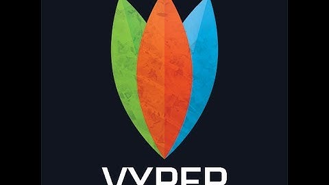 Introduction Into Vyper Network