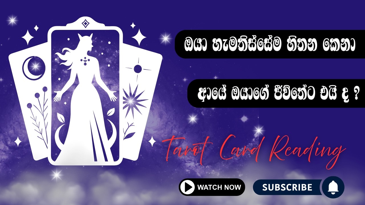 No contact / Ex  නැවත ඔයාගේ ජීවිතේට ඒයි ද ? 💍Do I Have a Future with My Ex | Tarot Sinhala Reading