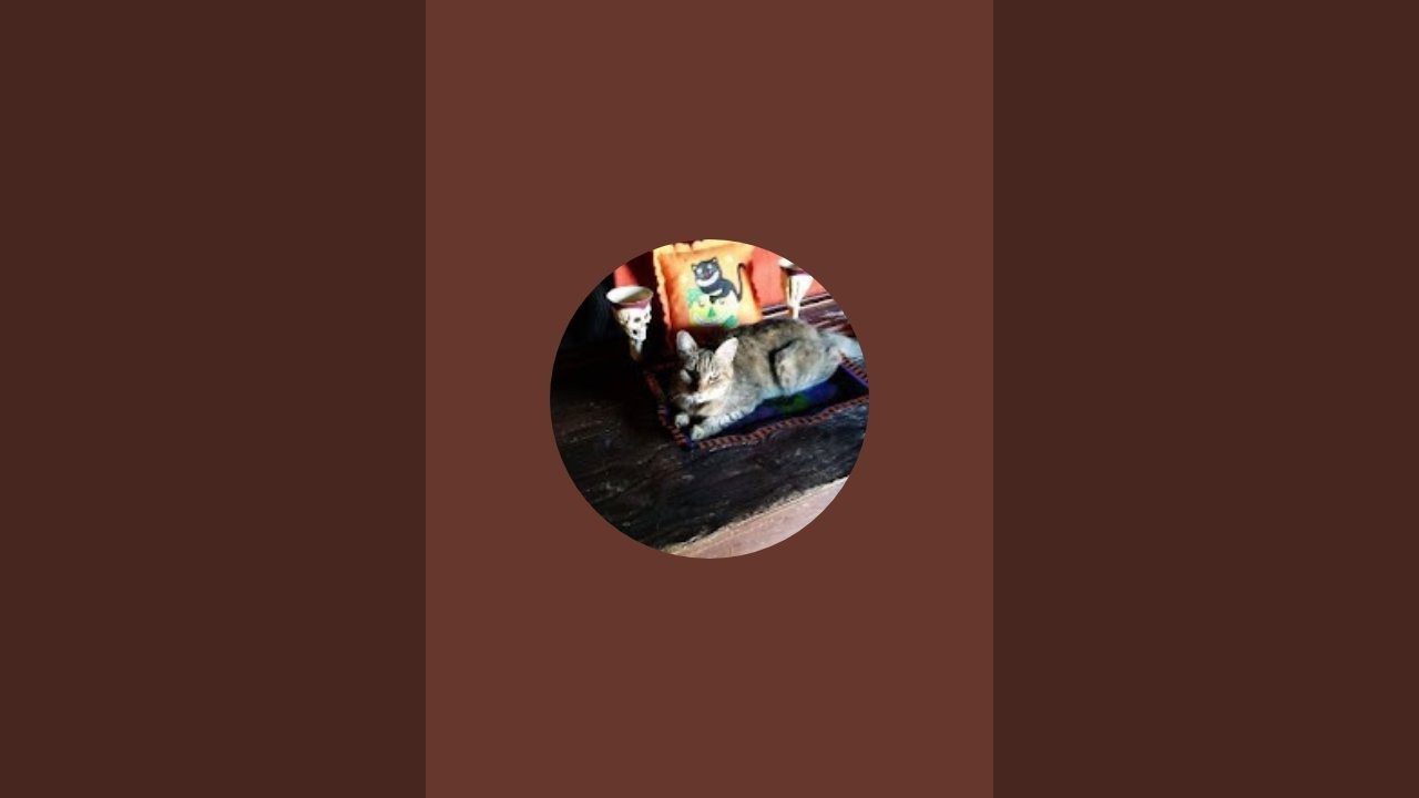 the marbles  game and vlog channel  is live! At knott's berry farm 