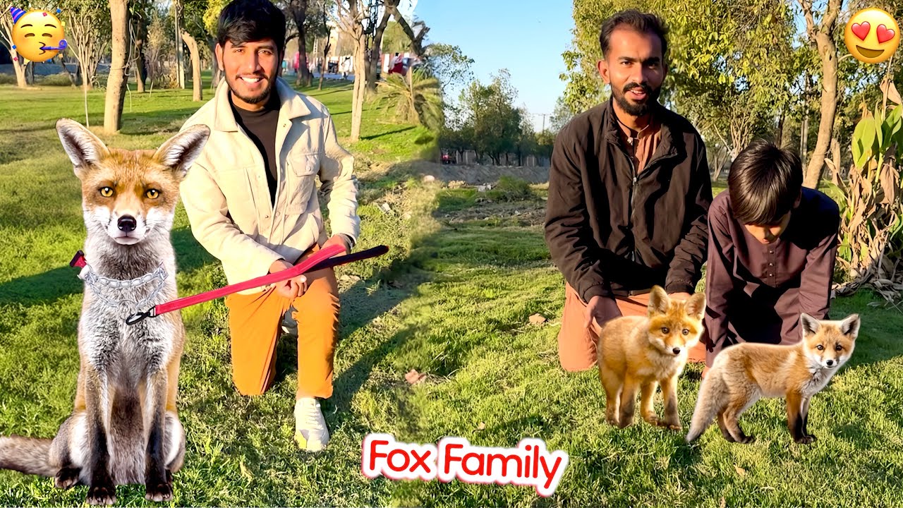 PET MARKET LAHORE SY FOX 🦊 FAMILY DHOND RHY HAIN 😱