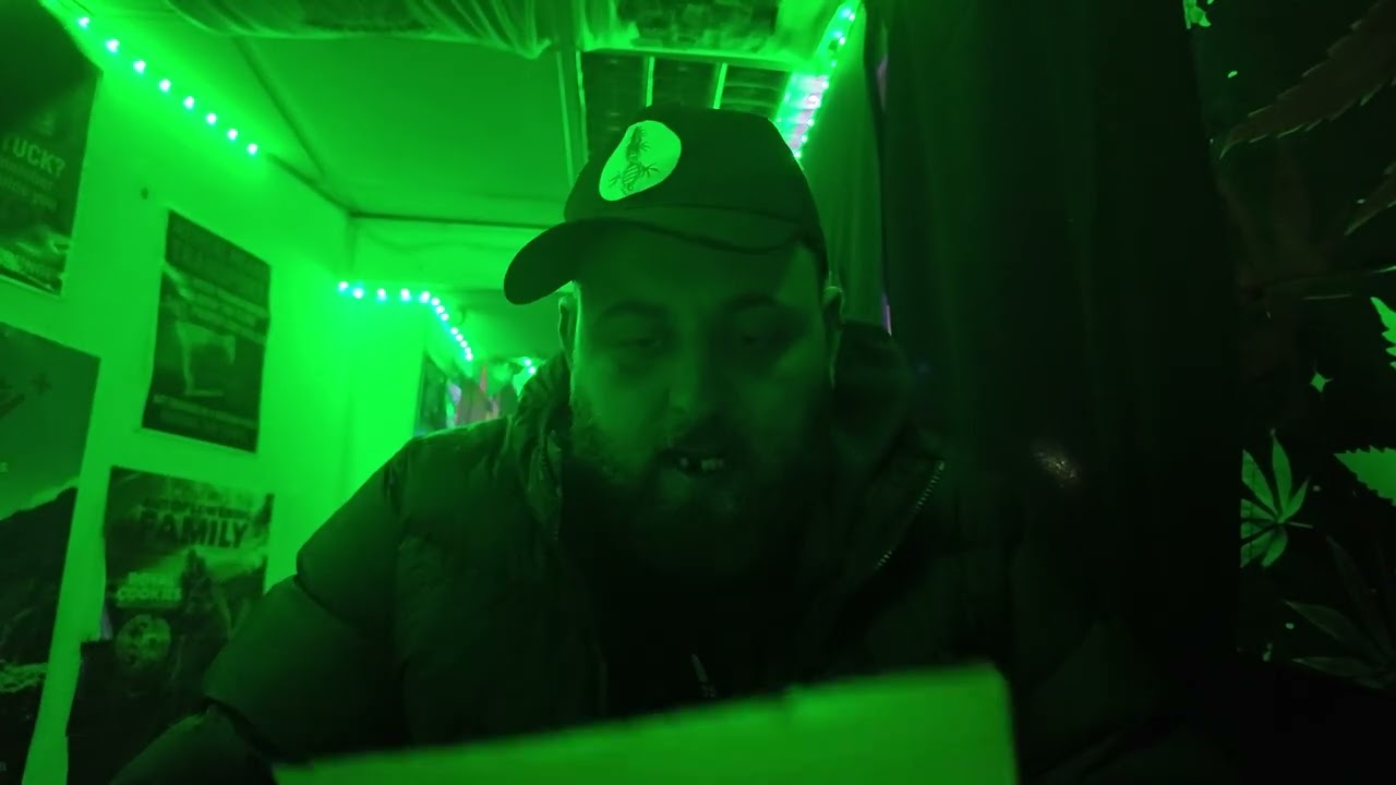 Когда использование медицинского каннабиса кажется рискованным делом 🎲