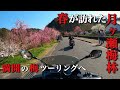 奈良にある約1万本の梅が咲く梅林へツーリングしてきたが…【モトブログ・バイク女子】