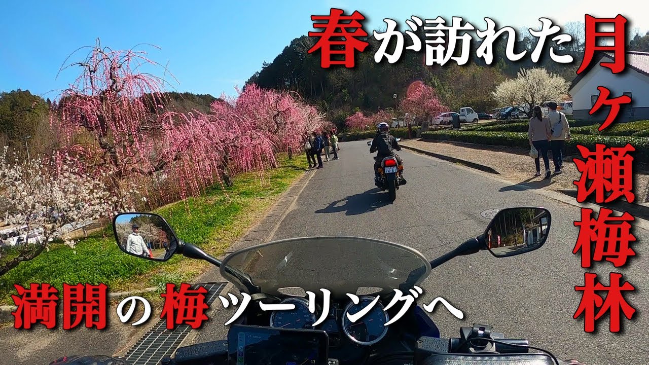 奈良にある約1万本の梅が咲く梅林へツーリングしてきたが…【モトブログ・バイク女子】