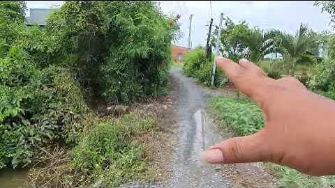 Bán đất thổ cư ấp 2a xã tân ân cần đước long an.