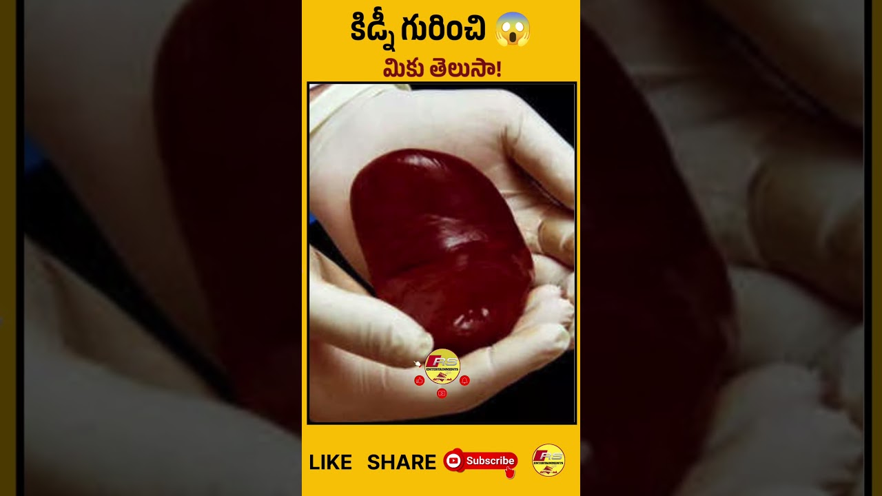 Kidney Mind Blowing Fact 