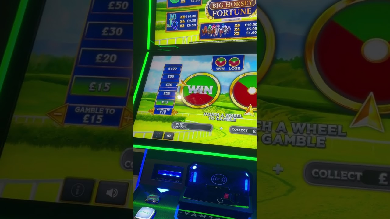 Big horsey fortune bent gamble