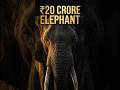 Luxury Elephant Lifestyle 😱 | Crores Worth Elephants #shorts #trendingshorts #fypシ