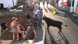 Tourada à corda in Ribeirinha, 30 August 2025
