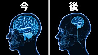 脳の物質は常に失われています // 150の驚くべき体の事実