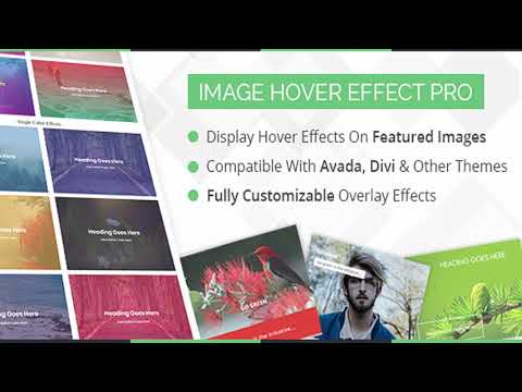 WP Image Hover Effects | Codecanyon Scripts and Snippets