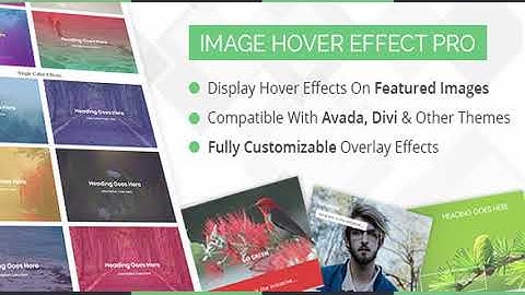 WP Image Hover Effects | Codecanyon Scripts and Snippets