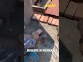 Excellent!!bricklayer on the bricks 🧱 #bricklayer#bricklaying#bricklayers#ytshorts