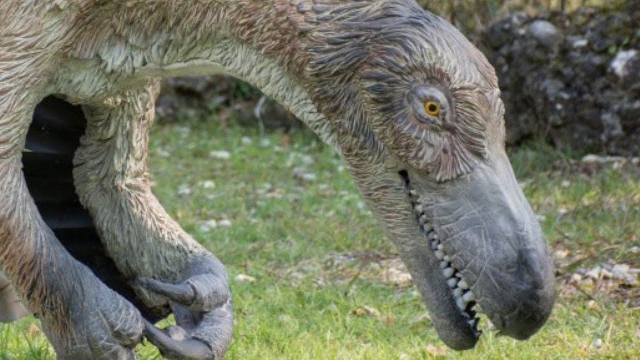 Here s What Velociraptors Really Looked Like YouTube Here s What Velociraptors Really Looked Like YouTube