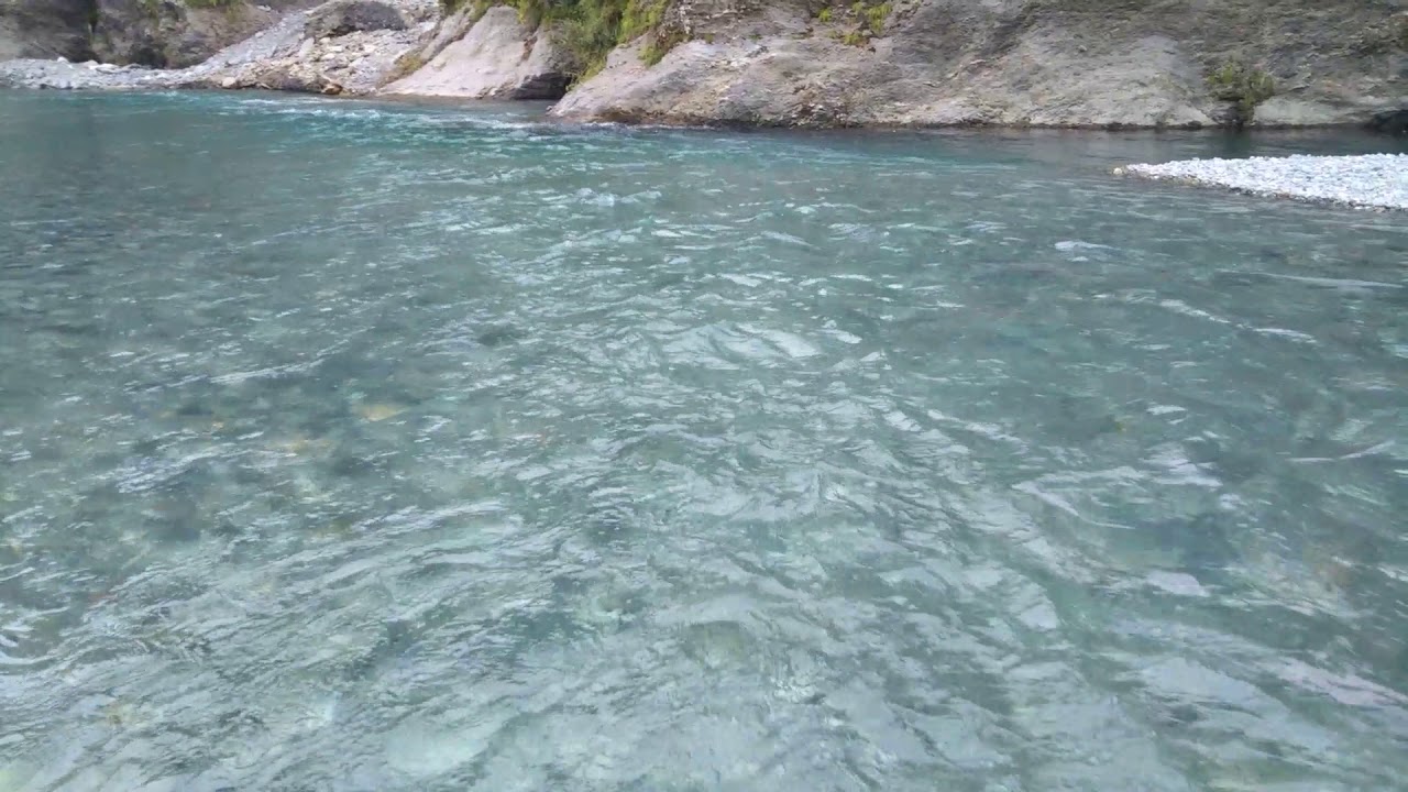 徳島県の日本一美しい清流穴吹川 遊泳できるスポット あははライフ